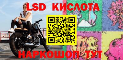 молекула духа Краснознаменск