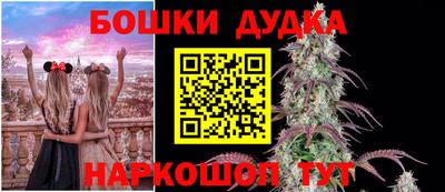 молекула духа Краснознаменск