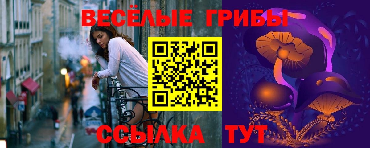 Волжский  Галлюциногенные грибы прущие грибы  Галлюциногенные грибы Psilocybe  Вход с VPN 