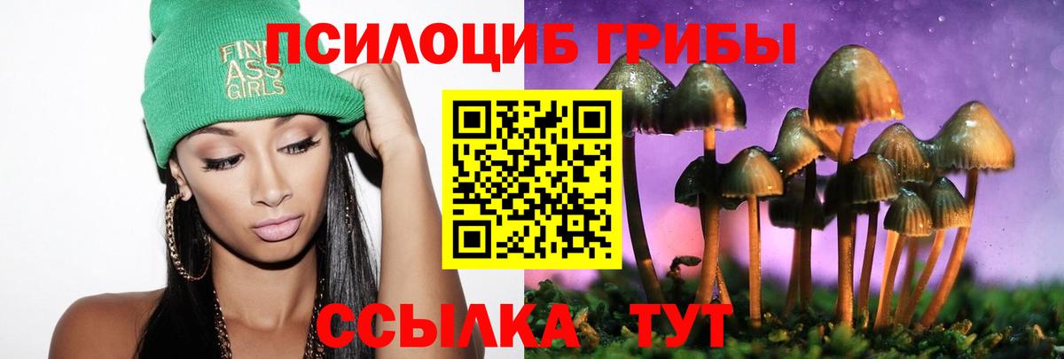 Галлюциногенные грибы мицелий Волжский
